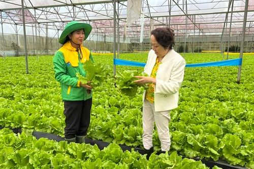 TPHCM định hướng trở thành trung tâm nghiên cứu, thử nghiệm và chuyển giao công nghệ nông nghiệp