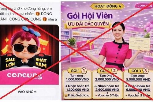 Người phụ nữ ở Hà Nội 'bay' gần 1 tỷ đồng khi bị lừa tham gia nhóm 'Đồng hành cùng Con Cưng'
