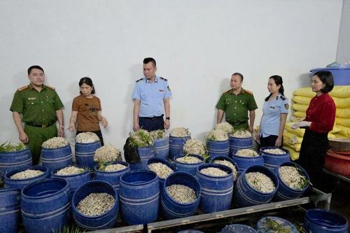 Quảng Ninh chỉ đạo 'khẩn' sau vụ phát hiện giá đỗ chứa chất cấm