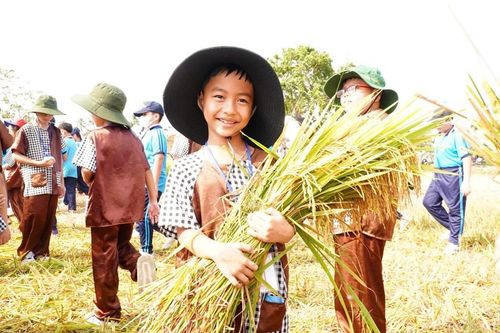 Rộn ràng 'Sắc Quê Mộ Đức' – Lễ hội Ngày mùa 2026 đậm đà bản sắc nông thôn