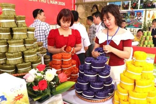Khai mạc Ngày hội Làng nghề truyền thống và sản phẩm đặc trưng xã Nam Dương
