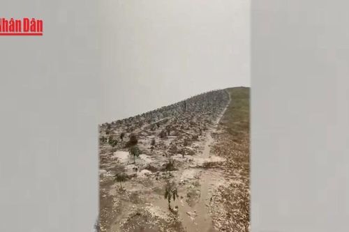 [Video] Mưa đá rơi trắng xóa tại Sơn La