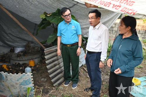 Xoa dịu vết thương chiến tranh nơi 'tuyến lửa' Quảng Trị - Bài 2: Nhịp cầu nối những tấm lòng nhân ái (tiếp theo và hết)