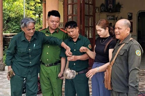 Thả tê tê về rừng