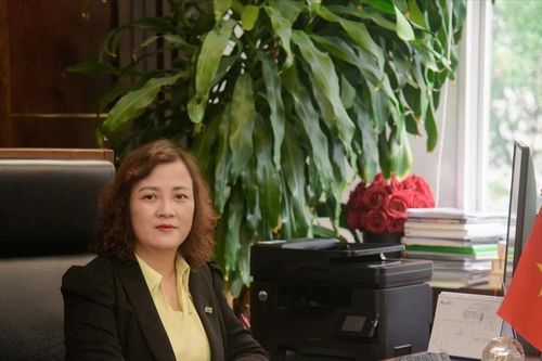 GS.TS Đinh Thị Mai Thanh: 'Khi làm khoa học bằng đam mê, mọi kết quả đều có giá trị'