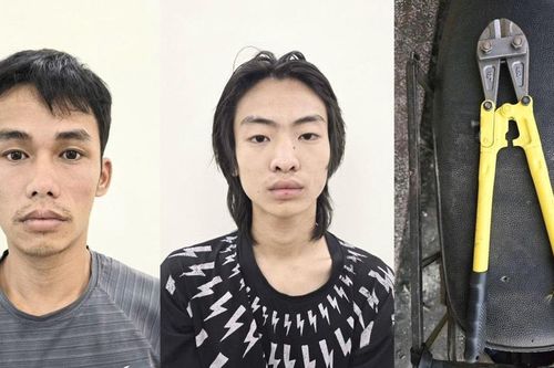 Hai 'ma game' thực hiện 17 vụ trộm cắp tại Trạm biến áp ở Tuyên Quang