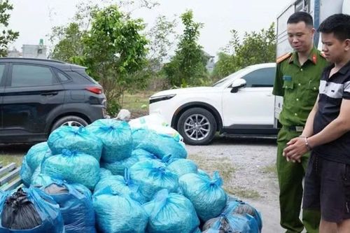 Quảng Ninh: Liên tiếp phát hiện 12 tấn giá đỗ nghi chứa chất cấm