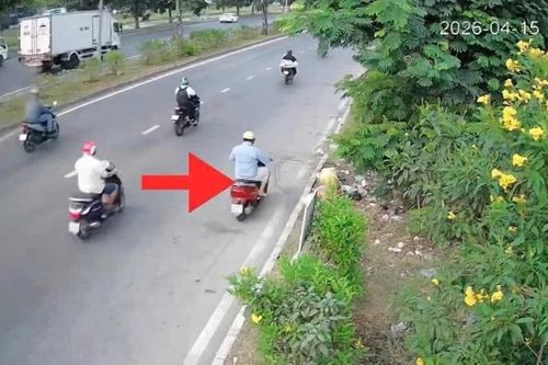 Vứt rác giữa đường, hai người ở TPHCM bị 'phạt nguội' tiền triệu