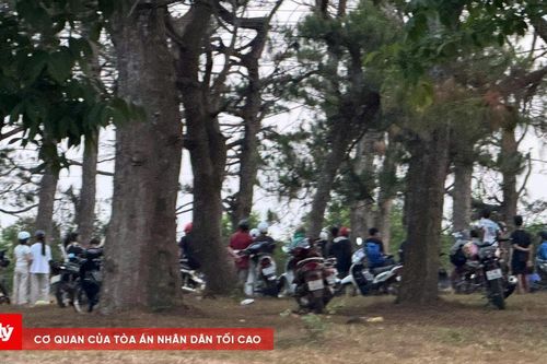Người đàn ông tử vong trong tư thế treo cổ tại rừng thông ở Đắk Lắk