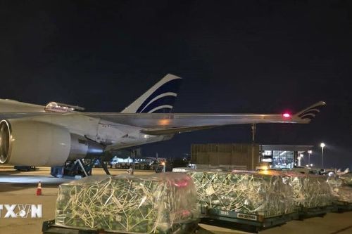 Gần 100 tấn rau quả tươi của Việt Nam chinh phục thị trường UAE