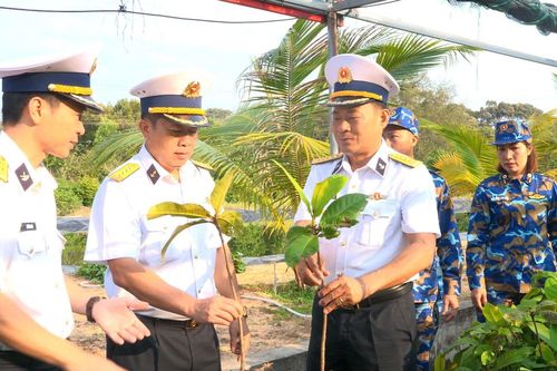 Vùng 4 Hải quân ươm, chiết, nhân giống 30.000 cây trồng thực hiện 'Xanh hóa Trường Sa'