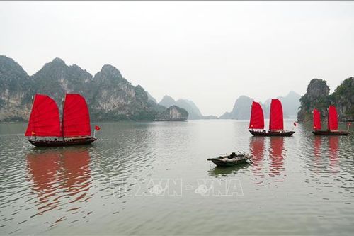 Siết chặt quản lý, tăng cường y tế và cứu hộ trên vịnh di sản