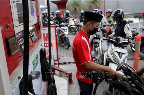 Thị trường năng lượng bất ngờ xoay trục sang nhiên liệu sinh học