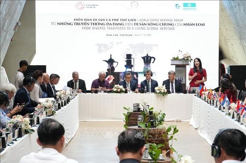 Nâng tầm giá trị cà phê Việt Nam trong bối cảnh toàn cầu hóa
