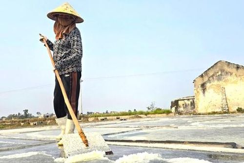 Phơi mình dưới nắng gắt sản xuất 'vàng trắng'
