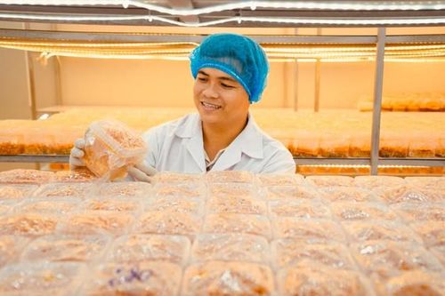 Chàng thạc sĩ bỏ phố về quê, bắt đầu khởi nghiệp bằng loài nấm 'đắt đỏ'