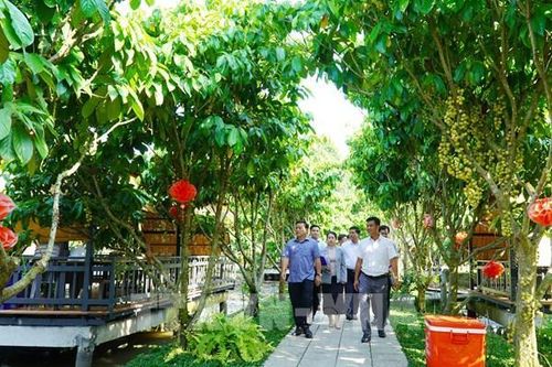 Nông dân An Giang bứt phá nhờ mô hình kinh tế xanh gắn với du lịch