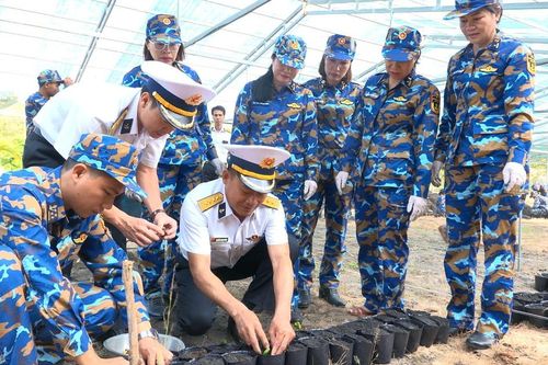 Vùng 4 Hải quân nhân giống 30.000 cây trồng để 'Xanh hóa Trường Sa'