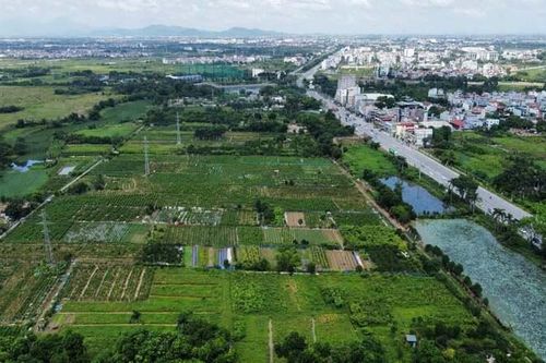 Cơ sở dữ liệu đất đai: 'Chìa khóa' cho quản lý và giao dịch minh bạch