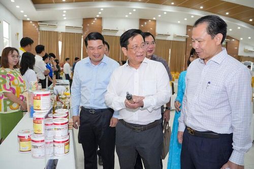 An Giang hướng đến phát triển doanh nghiệp xanh và trách nhiệm xã hội