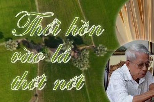 Thổi hồn vào lá thốt nốt