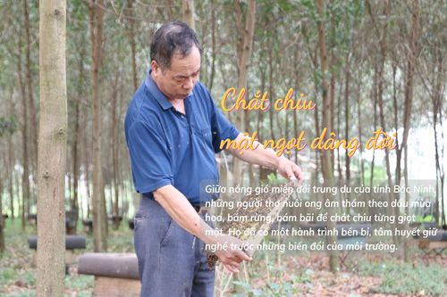 Chắt chiu mật ngọt dâng đời