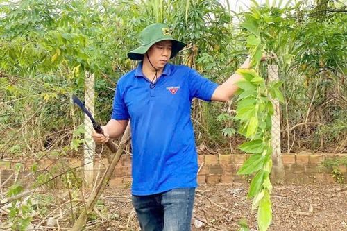 Phát huy vai trò thanh niên