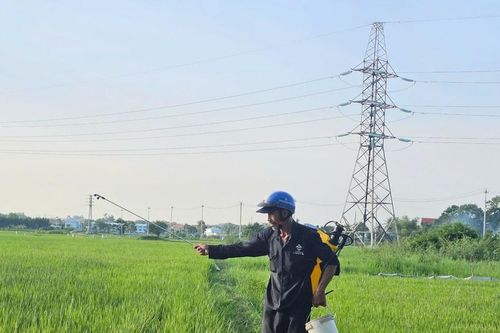 Sản xuất xanh, an toàn trong nông nghiệp