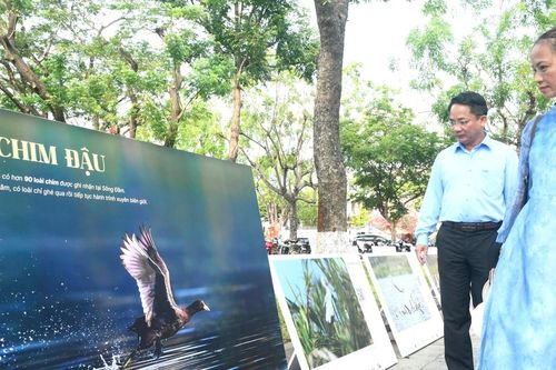 Khánh thành 'Trạm nghe chim kể chuyện' và triển lãm ảnh 'Đất lành chim đậu'