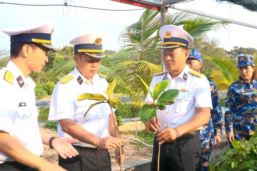 Phòng Hậu cần - Kỹ thuật Vùng 4 Hải quân phát động ươm, chiết, nhân giống 30.000 cây trồng