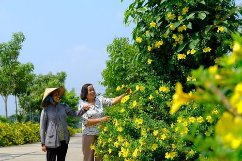 Giữ gìn nếp sống văn hóa ở Đạ Tẻh
