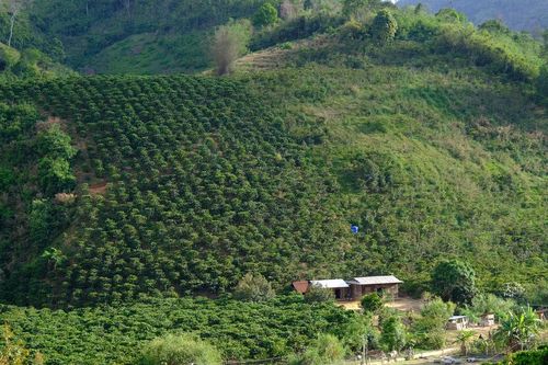 Bản làng Đạ M'Pô sang trang mới