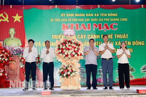 Khai mạc Triển lãm cây cảnh nghệ thuật xã Yên Đồng lần thứ I năm 2026