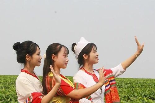 Mở lối cho kinh tế xanh vùng trung du