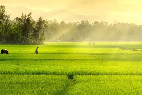 Chùm thơ 'Nhân sinh tam vấn'