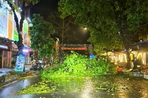 Chủ tịch UBND tỉnh Lê Hải Hòa: Tập trung khắc phục hậu quả mưa đá, giông lốc và rà soát an toàn công trình