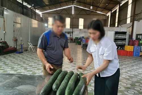Vụ tuồn thịt lợn bệnh vào trường mầm non ở Thái Nguyên: hé lộ khoản 'hoa hồng' cho hiệu trưởng