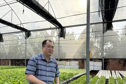 Nông nghiệp xanh: Chìa khóa nâng tầm thương hiệu và giá trị nông sản Việt