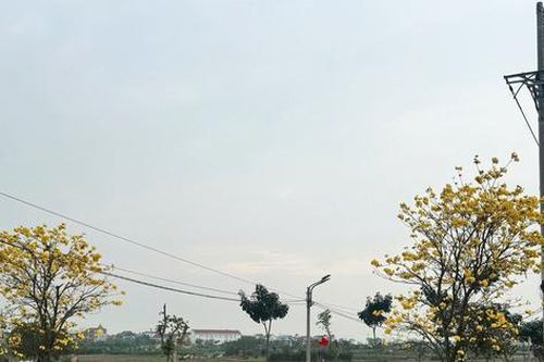 Tuyến đường 'hoa' hơn 400 triệu đồng tại xã Mê Linh