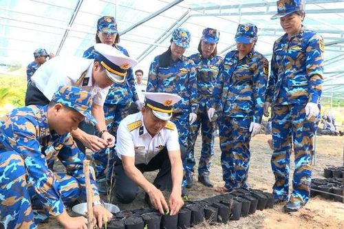 Vùng 4 Hải quân ươm, nhân giống 30.000 cây trồng thực hiện chương trình 'Xanh hóa Trường Sa'