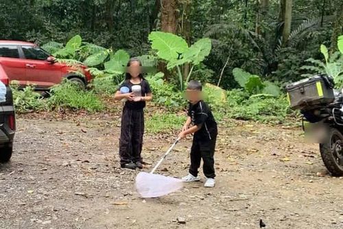 Khách mang vợt bắt bướm, cất vào hộp tại VQG Cúc Phương