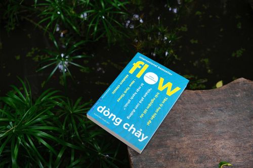 Bạn không thiếu nỗ lực, bạn đang phát triển bản thân sai cách
