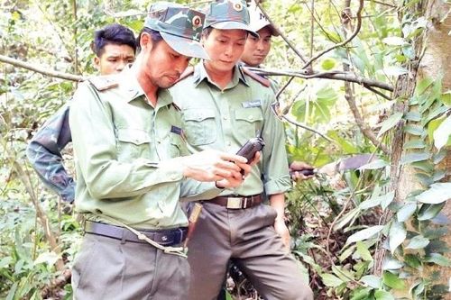 Nỗ lực giữ xanh rừng di sản