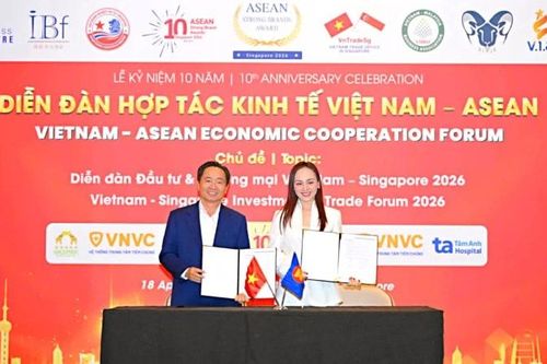 Mở rộng xúc tiến thương mại số, kết nối doanh nghiệp Việt Nam-Singapore