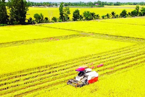 Nông sản 'rộng cửa' vào thị trường tỷ dân