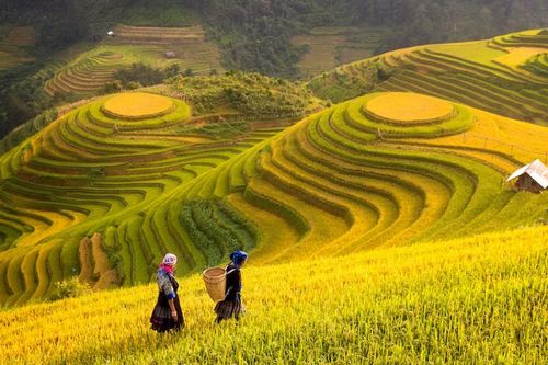 Sa Pa - điểm đến được truyền thông Hàn Quốc, Thái Lan ca ngợi