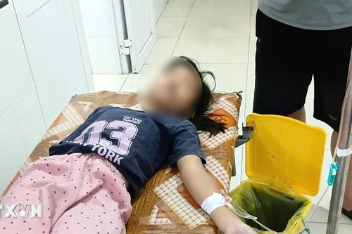 Đề nghị điều tra nguồn gốc thực phẩm khiến hơn 20 người nhập viện ở Nghệ An