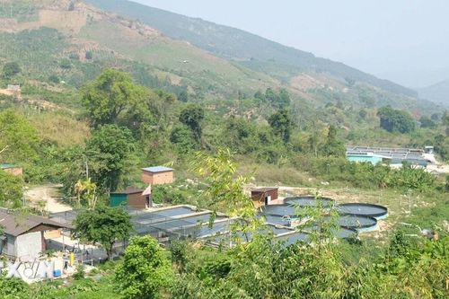 Lâm Đồng: Vùng sâu Đam Rông vươn mình trên những tiềm năng