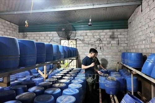 Chủ tịch xã, phường, đặc khu phải chịu trách nhiệm về công tác bảo đảm an toàn thực phẩm