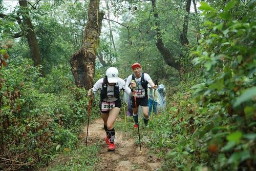 Hơn 300 vận động viên leo núi chinh phục đỉnh Tả Liên Sơn cao gần 3.000m